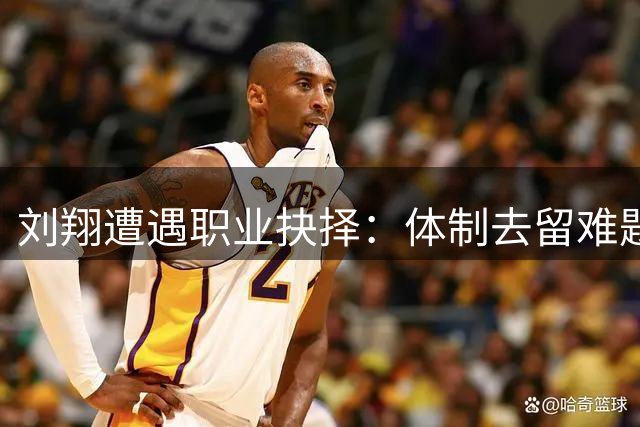 刘翔遭遇职业抉择：体制去留难题引发热议